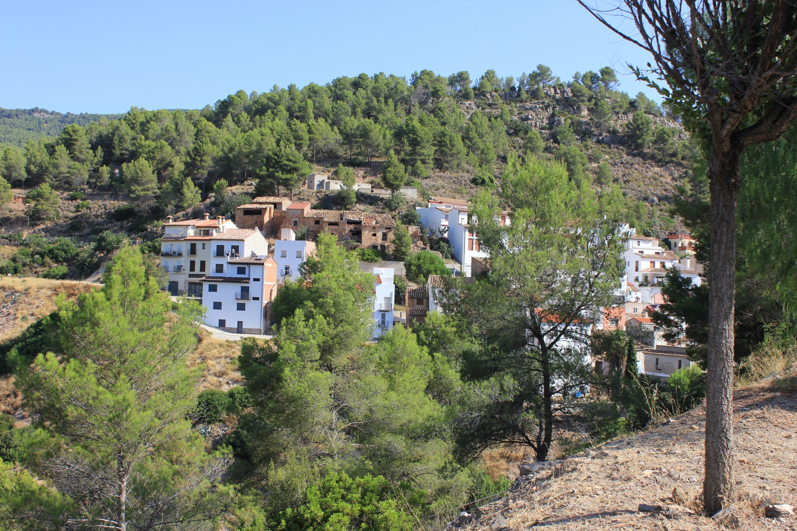 El Tormo